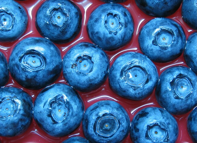 Blueberries up close