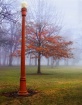 Color in the Fog