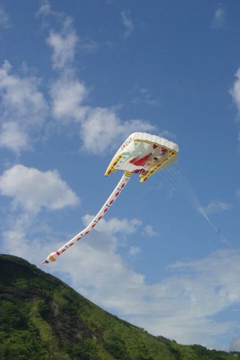 Sunday Kite Flying