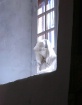 Madonna at Chimay...