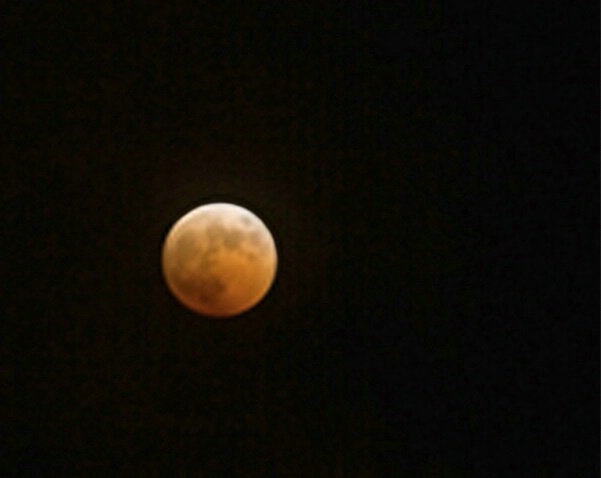 Lunar Eclipse - ID: 708347 © James E. Nelson