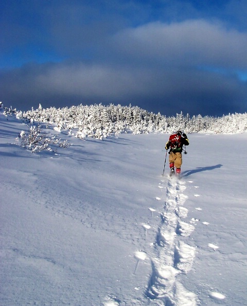 Snowshoeing on Pine Tree Mountain