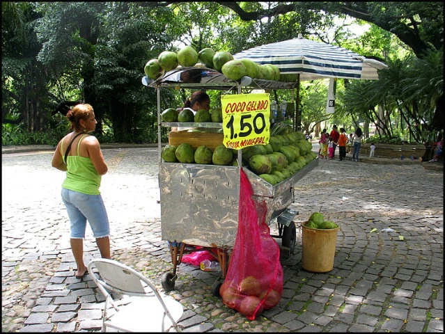 Belo Horizonte Coco