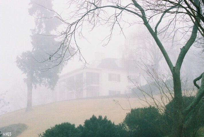 ~Through the Fog~