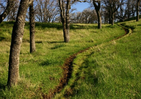 Curving Path
