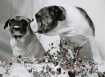 The Kiss