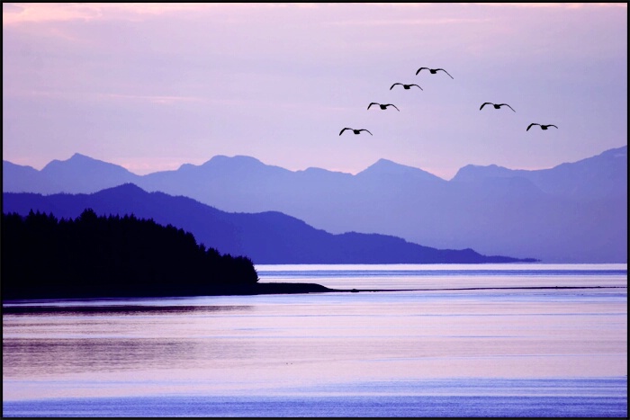 Unspoiled