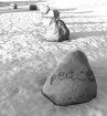 Message on a Rock
