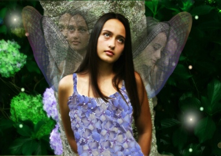 faerie dreams