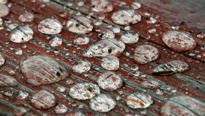 Rain Drops