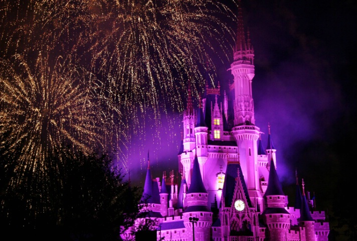 Fireworks at Disneyworld 