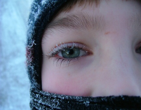 frozen lashes