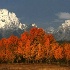 © John T. Sakai PhotoID# 724383: Majestic Peaks at Autumn