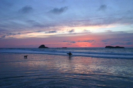 Surf Dog Sunset