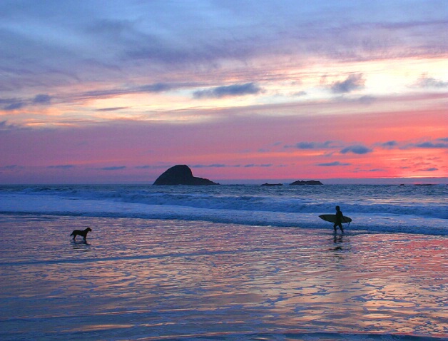 Surf Dog Sunset Revisted