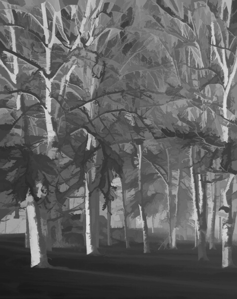 Grayscale Forrest