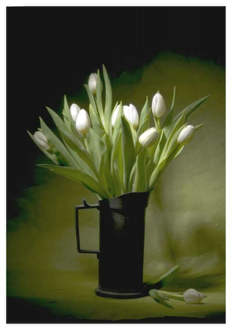 Tulips:  Still Life