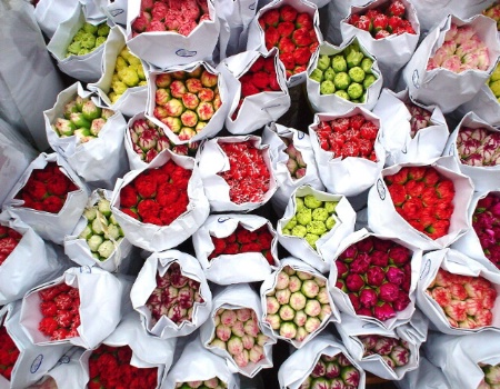 Flowers Bunches