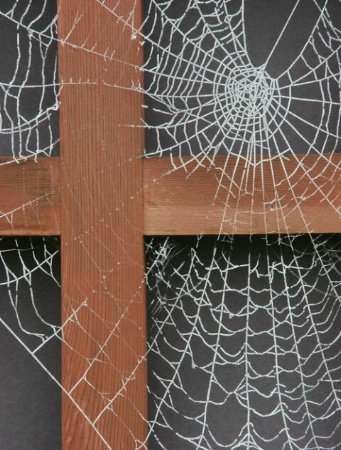 Frosty Web