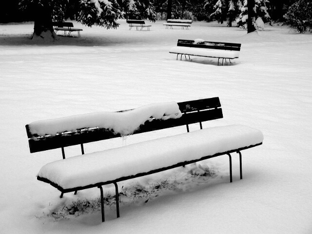 Benches under snow