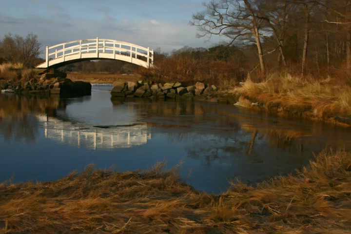 Winter Bridge