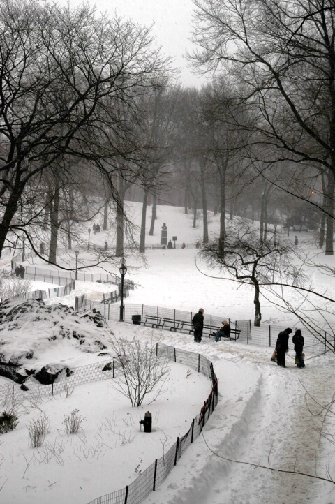 Central Park after