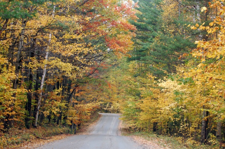 Fall Colors, NH