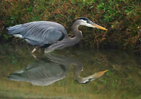 Poised To Strike