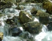 A Utah River