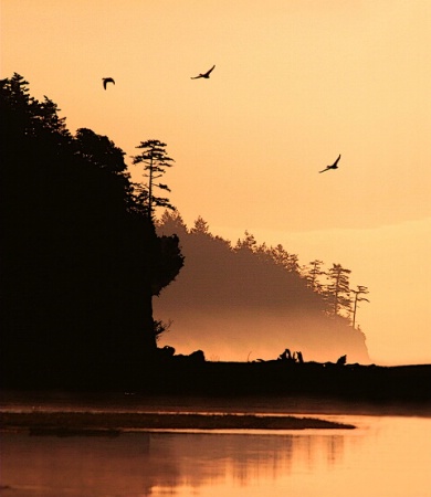 Dawn at  2nd Beach, Indian Island, WA