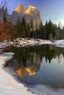 Peace in the Vall...