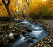 Autumn Sanctuary