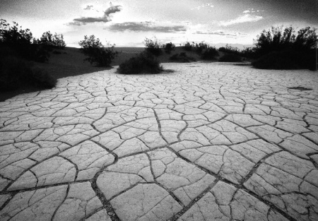 Death Valley Dried