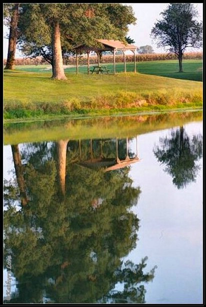 Reflecting at the Park 