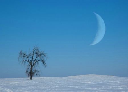 Prairie Moonrise