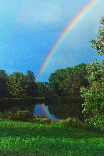 Rainbow Bridge-V - ID: 751712 © Deborah A. Prior