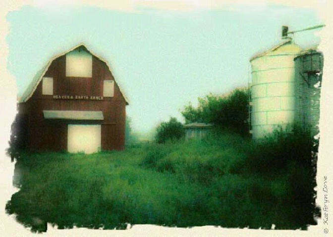 img9