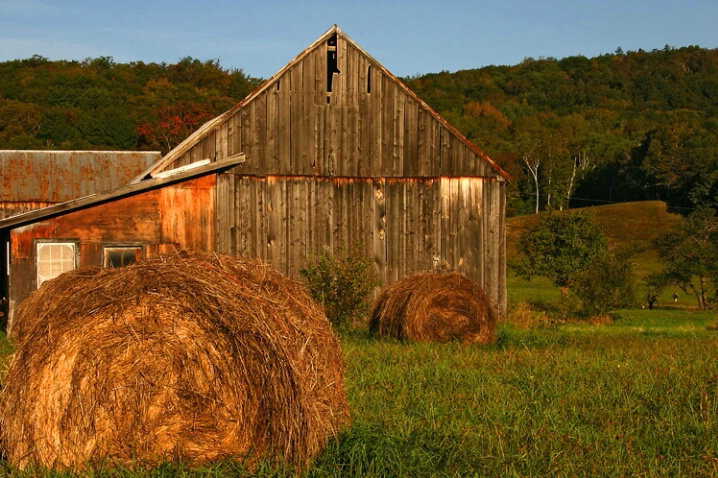 Scenes of Vermont - 1 - Coolidge Farm Hay Bales - ID: 754467 © John Tubbs