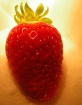 Sugar Strawberry