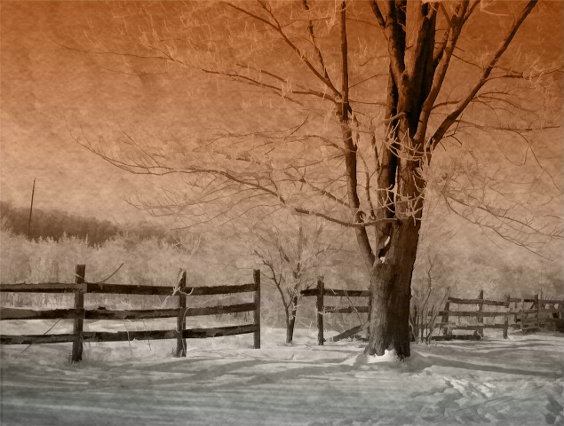 Fence In The Snow