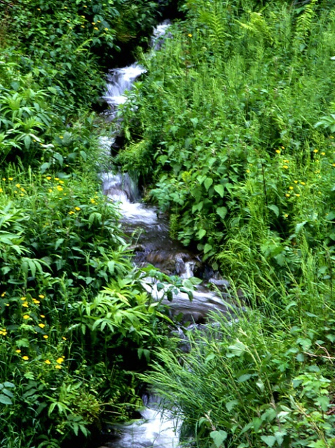  Mountain Stream