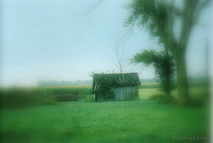 img9