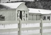 Winter Black & Wh...