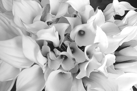 Callas In Black and White