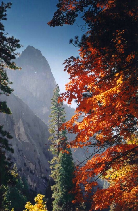 Fall in Yosemite - color/exposure