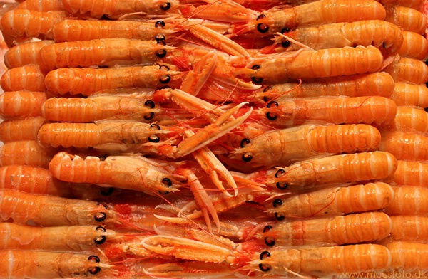 Lobster parade