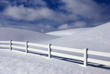 Winter Whites