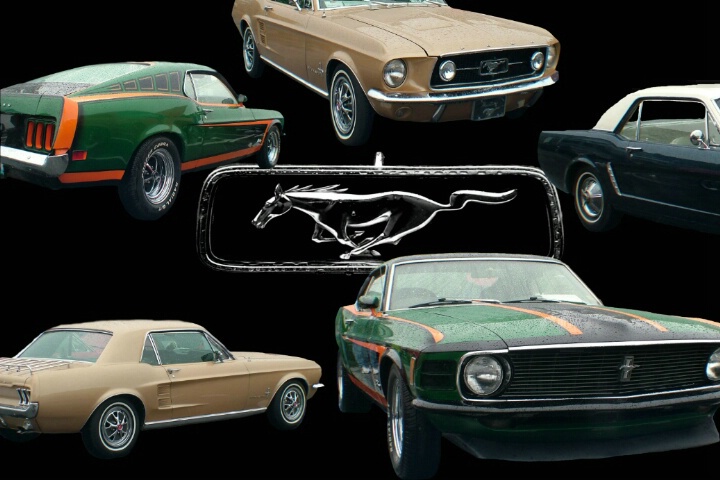 A Look at American Classic  Ford Mustang