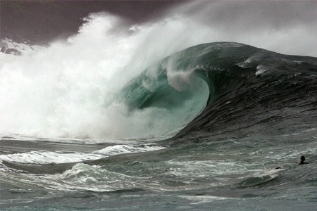 Waimea Bay Surf