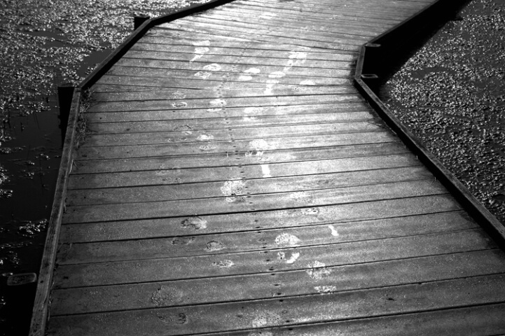 Footprints on Dock